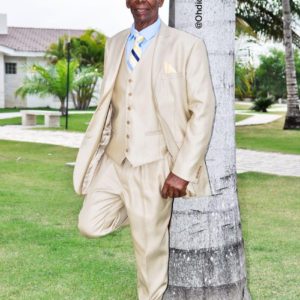 Light Beige Tailored Fit Two Button Suit with Vest