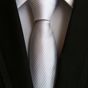 Light Gray Diagonal Stripe Pattern Tie